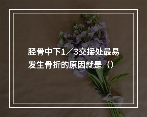 胫骨中下1／3交接处最易发生骨折的原因就是（）