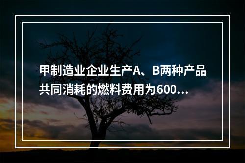 甲制造业企业生产A、B两种产品共同消耗的燃料费用为6000元