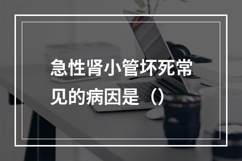 急性肾小管坏死常见的病因是（）