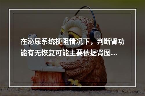 在泌尿系统梗阻情况下，判断肾功能有无恢复可能主要依据肾图的哪