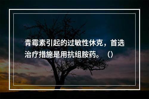 青霉素引起的过敏性休克，首选治疗措施是用抗组胺药。（）