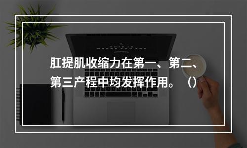 肛提肌收缩力在第一、第二、第三产程中均发挥作用。（）