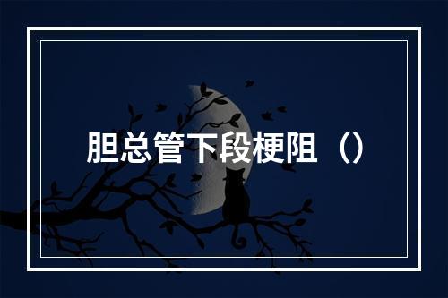 胆总管下段梗阻（）