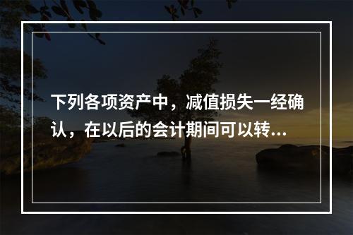 下列各项资产中，减值损失一经确认，在以后的会计期间可以转回的