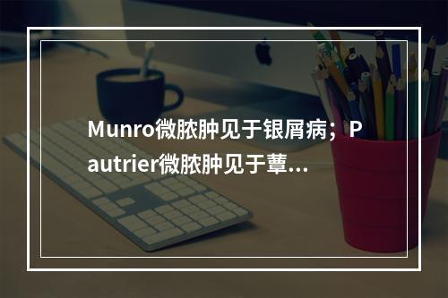 Munro微脓肿见于银屑病；Pautrier微脓肿见于蕈样肉