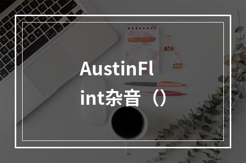 AustinFlint杂音（）