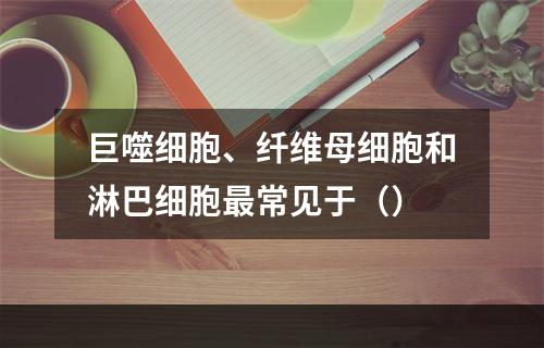 巨噬细胞、纤维母细胞和淋巴细胞最常见于（）