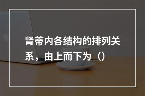 肾蒂内各结构的排列关系，由上而下为（）