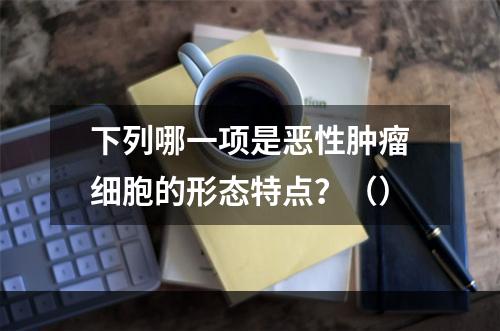 下列哪一项是恶性肿瘤细胞的形态特点？（）