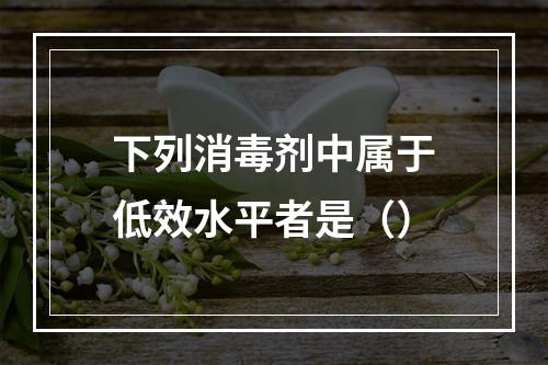 下列消毒剂中属于低效水平者是（）