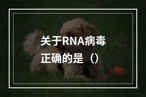 关于RNA病毒正确的是（）