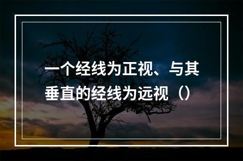 一个经线为正视、与其垂直的经线为远视（）