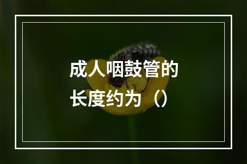 成人咽鼓管的长度约为（）