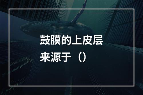 鼓膜的上皮层来源于（）