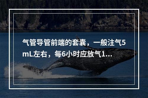 气管导管前端的套囊，一般注气5mL左右，每6小时应放气1次，