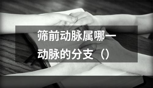 筛前动脉属哪一动脉的分支（）