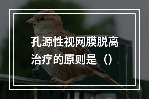 孔源性视网膜脱离治疗的原则是（）