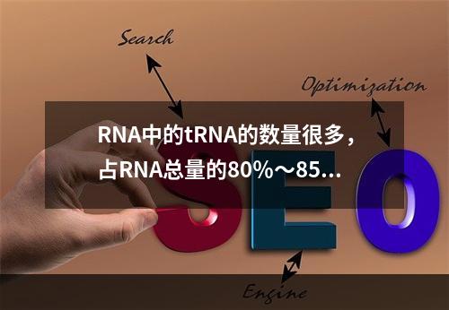 RNA中的tRNA的数量很多，占RNA总量的80％～85％。