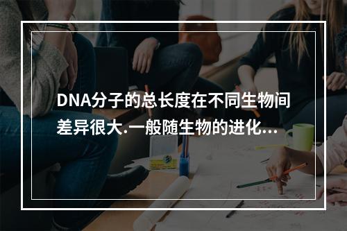 DNA分子的总长度在不同生物间差异很大.一般随生物的进化程度