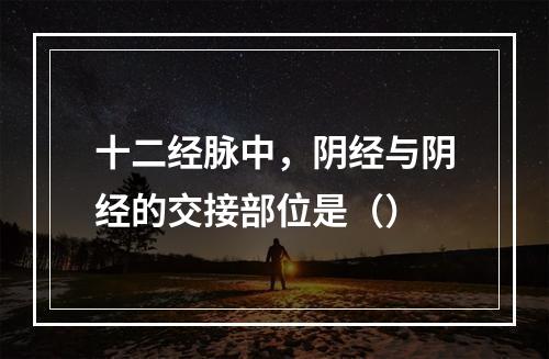 十二经脉中，阴经与阴经的交接部位是（）