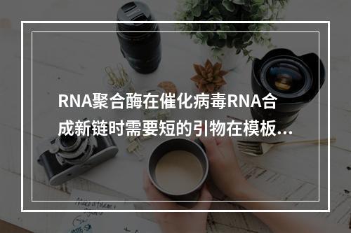 RNA聚合酶在催化病毒RNA合成新链时需要短的引物在模板的末