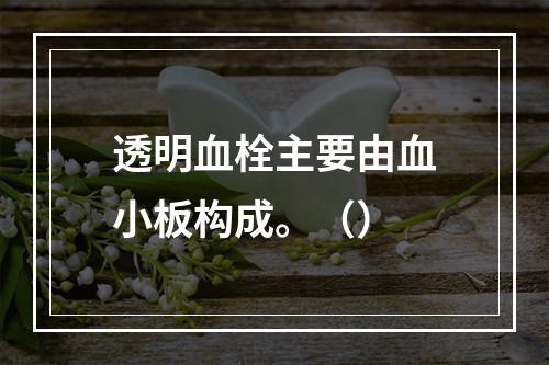 透明血栓主要由血小板构成。（）