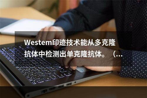 Westem印迹技术能从多克隆抗体中检测出单克隆抗体。（）