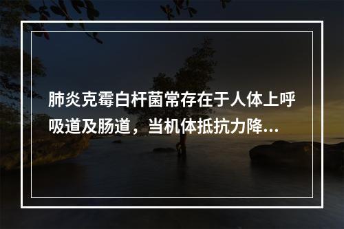 肺炎克霉白杆菌常存在于人体上呼吸道及肠道，当机体抵抗力降低时