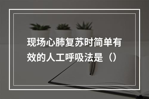 现场心肺复苏时简单有效的人工呼吸法是（）