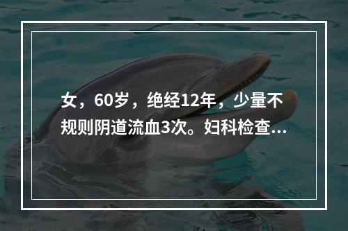 女，60岁，绝经12年，少量不规则阴道流血3次。妇科检查：外