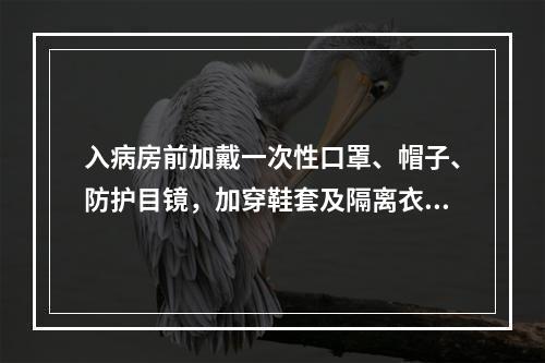 入病房前加戴一次性口罩、帽子、防护目镜，加穿鞋套及隔离衣；继