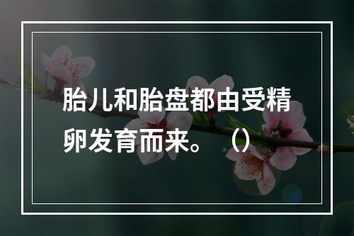 胎儿和胎盘都由受精卵发育而来。（）