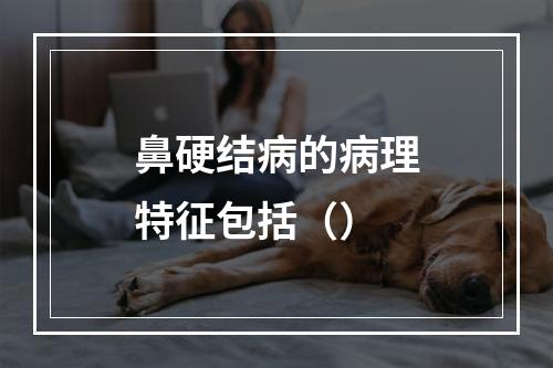 鼻硬结病的病理特征包括（）