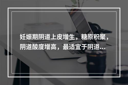 妊娠期阴道上皮增生，糖原积聚，阴道酸度增高，最适宜于阴道毛滴