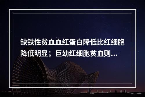 缺铁性贫血血红蛋白降低比红细胞降低明显；巨幼红细胞贫血则相反