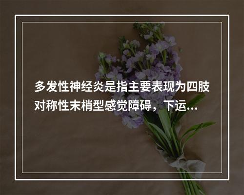 多发性神经炎是指主要表现为四肢对称性末梢型感觉障碍，下运动神