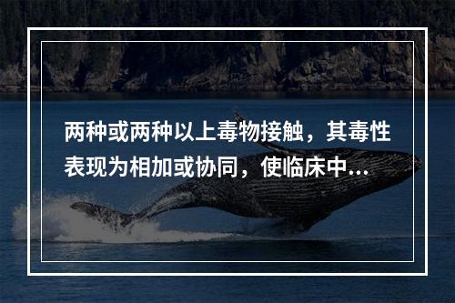 两种或两种以上毒物接触，其毒性表现为相加或协同，使临床中毒表