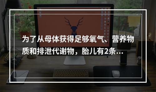 为了从母体获得足够氧气、营养物质和排泄代谢物，胎儿有2条脐动