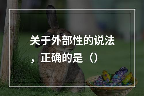 关于外部性的说法，正确的是（）