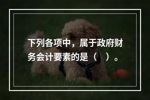 下列各项中，属于政府财务会计要素的是（　）。