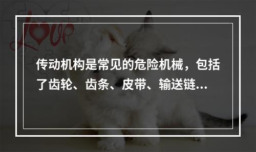 传动机构是常见的危险机械，包括了齿轮、齿条、皮带、输送链和链