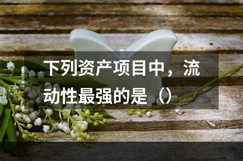 下列资产项目中，流动性最强的是（）