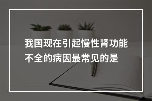 我国现在引起慢性肾功能不全的病因最常见的是