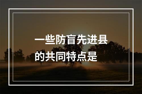 一些防盲先进县的共同特点是