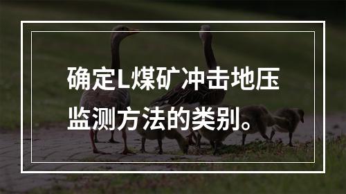 确定L煤矿冲击地压监测方法的类别。