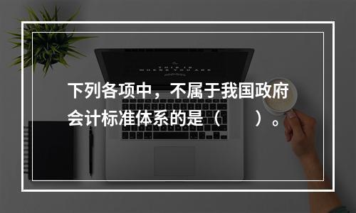 下列各项中，不属于我国政府会计标准体系的是（　　）。