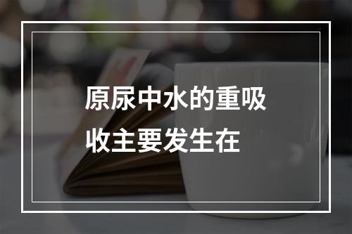 原尿中水的重吸收主要发生在