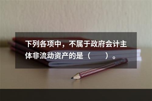 下列各项中，不属于政府会计主体非流动资产的是（　　）。