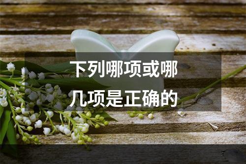 下列哪项或哪几项是正确的