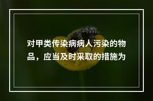 对甲类传染病病人污染的物品，应当及时采取的措施为